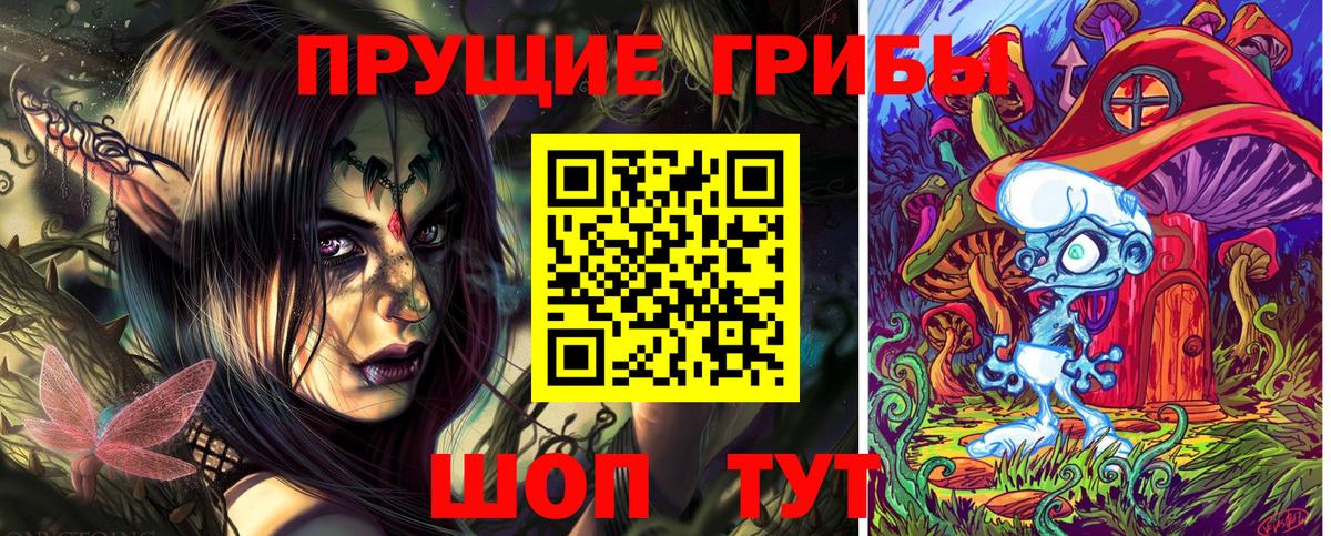 Горячий Ключ  Псилоцибиновые грибы Psilocybine cubensis  Вход с VPN 